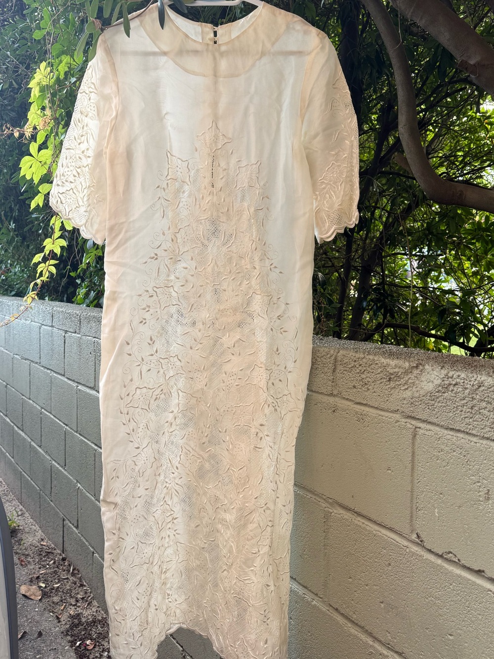 Embroidered Ivory Organza Dress with Scalloped Sleeves and Pearlized Buttons